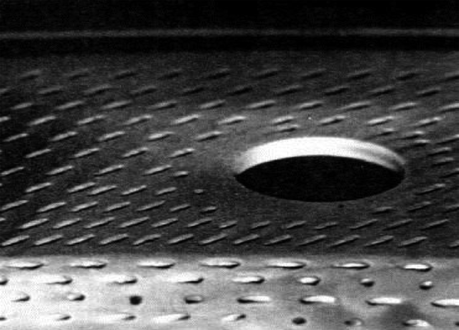 image003.png